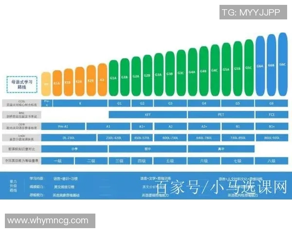 中文vs外语学习的优势与挑战探讨与经验分享